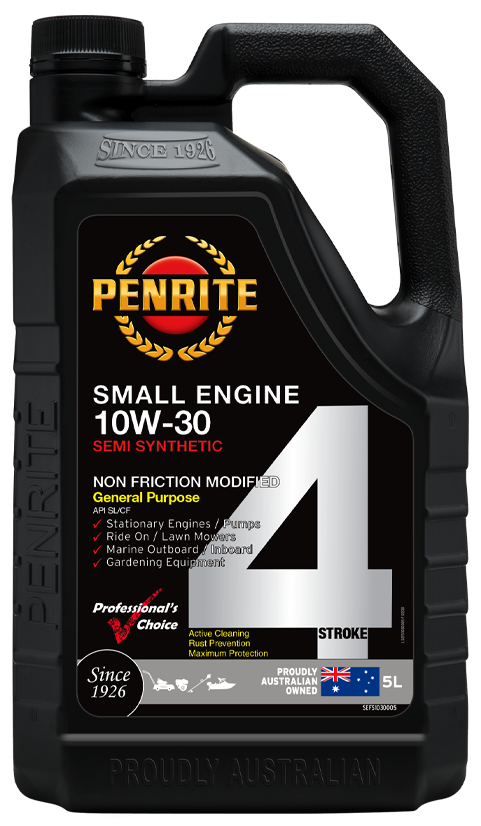 SMALL ENGINE FOUR STROKE 10W-30
